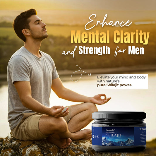 Herbshila Himalayan Shilajit: Natural Booster for Men’s Energy and Mental Power