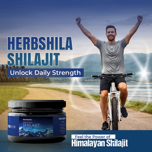 Himalayan Shilajit Benefits: Boost Strength, Stamina & Performance Naturally