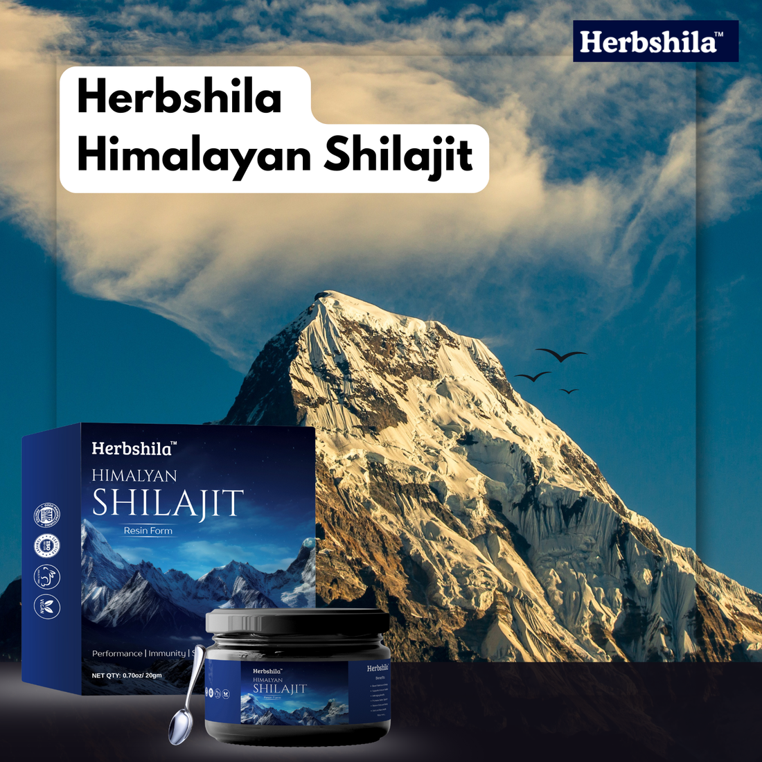 Shilajit ke Fayde: Why Herbshila Himalayan Shilajit is the Best Choice